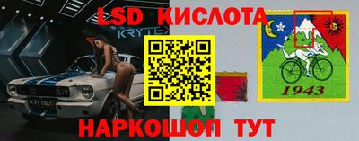 крисы Пенза