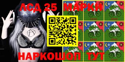 крисы Пенза